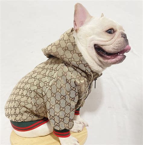 gucci jacket for dog